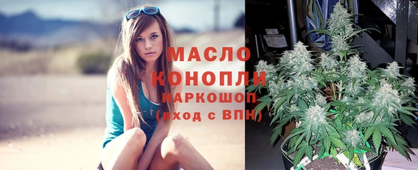 мяу мяу мука Арсеньев