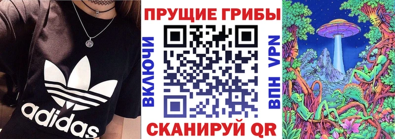Галлюциногенные грибы прущие грибы  где найти   Сердобск 